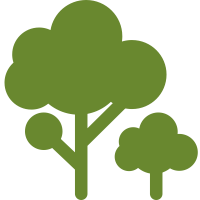 TreeSense Logo